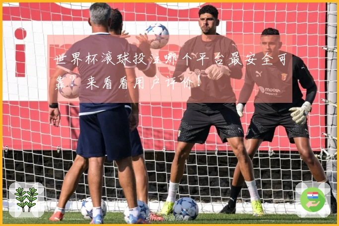 世界杯滚球投注哪个平台最安全可靠？来看看用户评价！