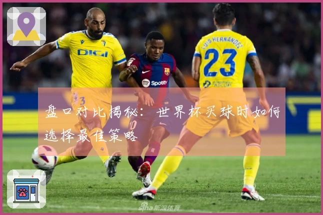 盘口对比揭秘：世界杯买球时如何选择最佳策略